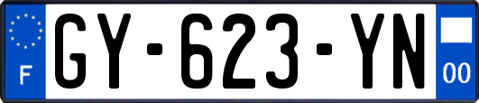 GY-623-YN