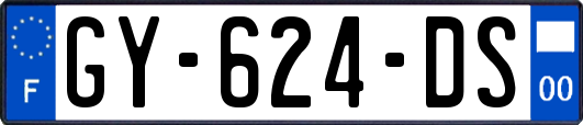 GY-624-DS