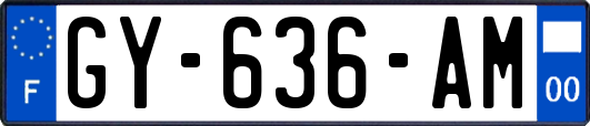 GY-636-AM