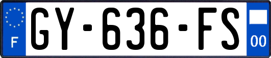 GY-636-FS