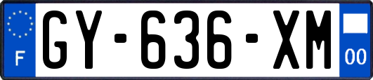 GY-636-XM
