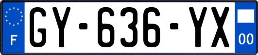 GY-636-YX