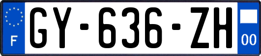 GY-636-ZH