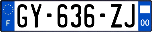 GY-636-ZJ