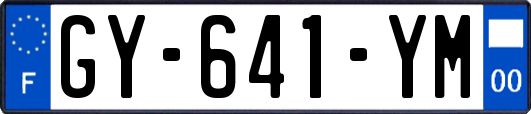 GY-641-YM