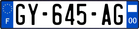 GY-645-AG