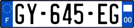 GY-645-EG