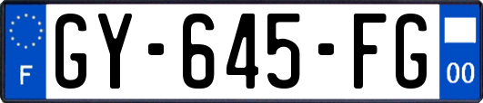 GY-645-FG