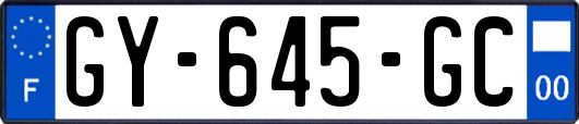 GY-645-GC