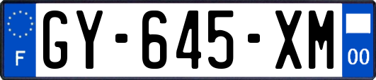 GY-645-XM
