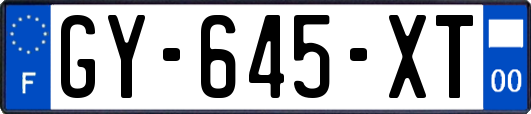 GY-645-XT