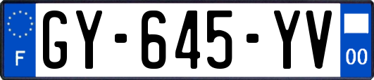 GY-645-YV