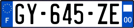 GY-645-ZE