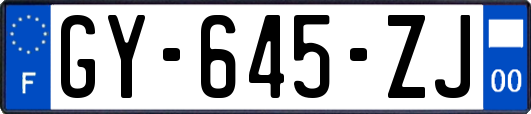 GY-645-ZJ