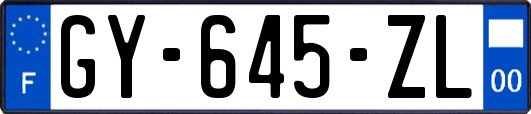 GY-645-ZL