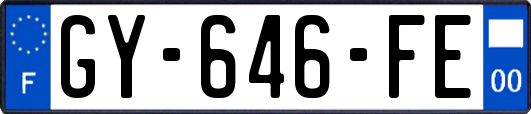 GY-646-FE