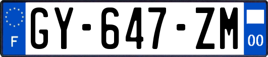 GY-647-ZM