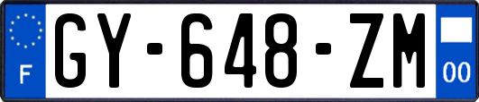 GY-648-ZM