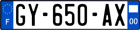 GY-650-AX