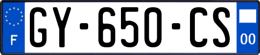 GY-650-CS