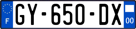 GY-650-DX