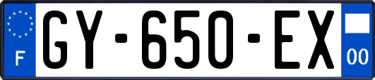 GY-650-EX