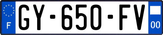 GY-650-FV