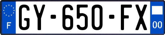 GY-650-FX