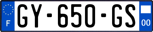 GY-650-GS