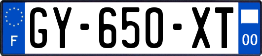 GY-650-XT