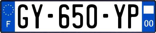 GY-650-YP