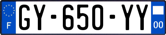 GY-650-YY
