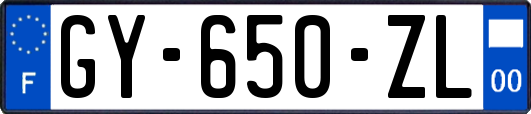 GY-650-ZL