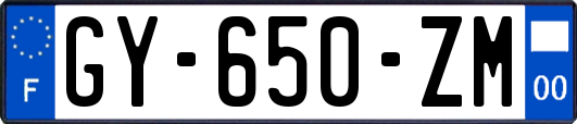 GY-650-ZM
