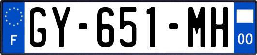 GY-651-MH