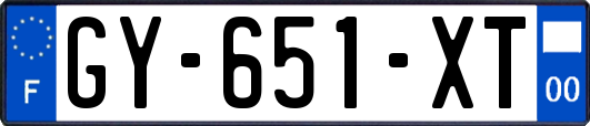 GY-651-XT