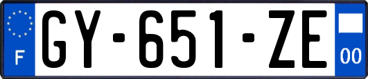 GY-651-ZE