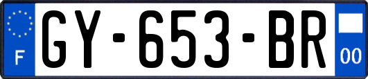 GY-653-BR