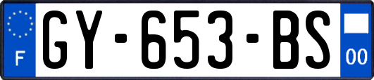GY-653-BS