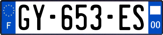 GY-653-ES