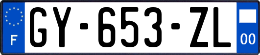 GY-653-ZL