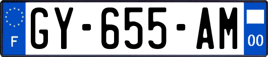 GY-655-AM