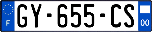 GY-655-CS