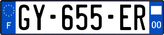GY-655-ER