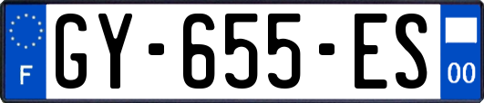 GY-655-ES
