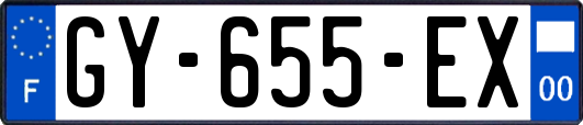 GY-655-EX