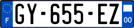 GY-655-EZ