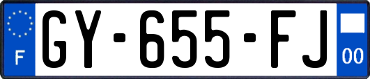 GY-655-FJ