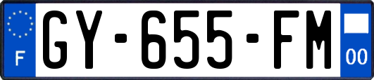 GY-655-FM