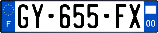 GY-655-FX